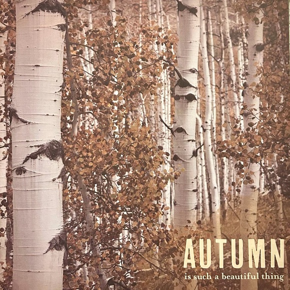 Fall Scrapbook Paper! Beautiful Autumn Colors! 12x12 Premium Card Stock! - Picture 3 of 12